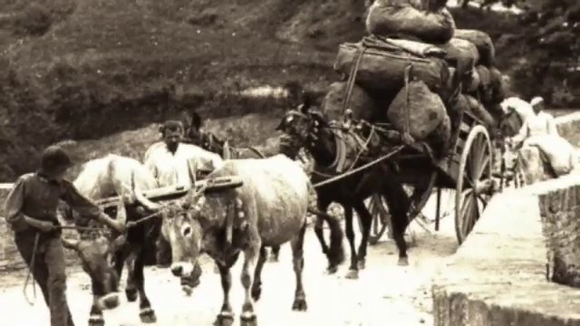 Trasporto delle merci con i carri