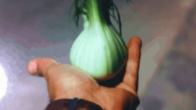 Finocchio ibrido