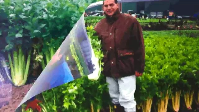Le prove di campo del Centro di Saggio