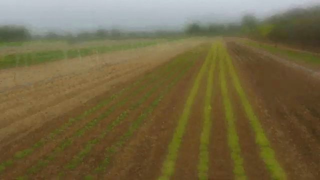 Nasce Agritec S.r.l.