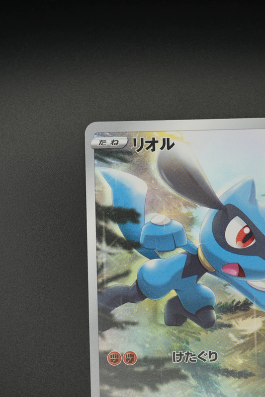 Riolu (s12a 201) jap
