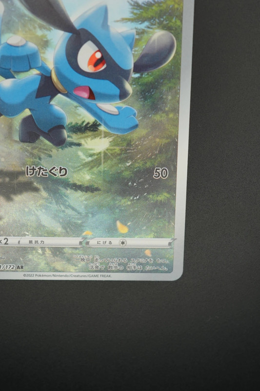 Riolu (s12a 201) jap