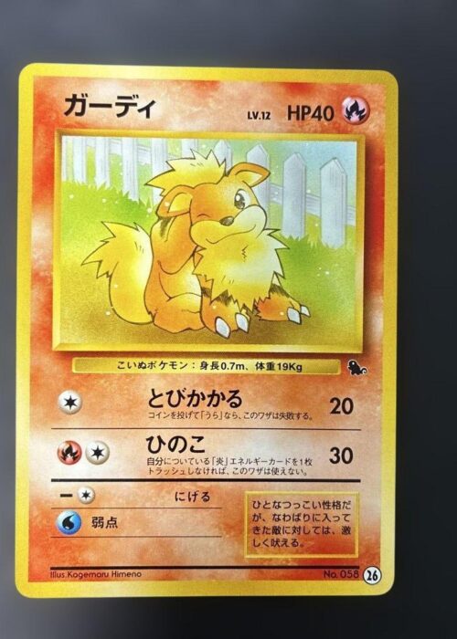 Growlithe Intro Pack Squirtle