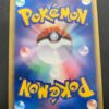 Chikorita Holo McDonald's