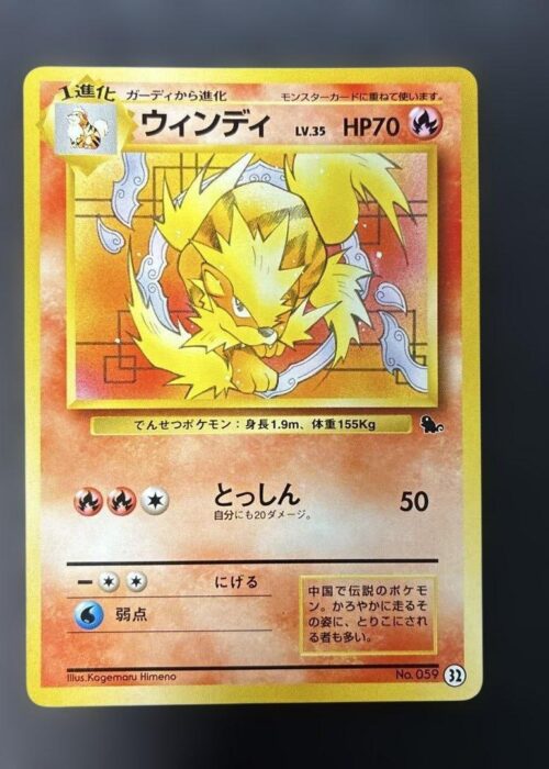 Arcanine Intro Pack Squirtle