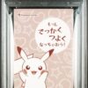 Business Card Pikachu Poncho Mega Charizard Y PSA 9