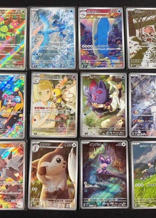 Full Set 12 AR Battle Partners