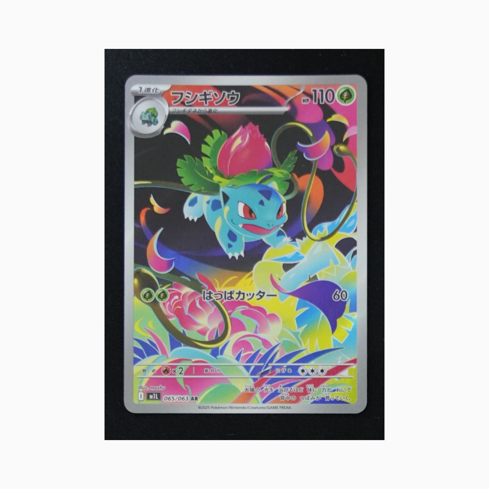 Ivysaur m1L 065 Pokemon giapponese Mega Brave